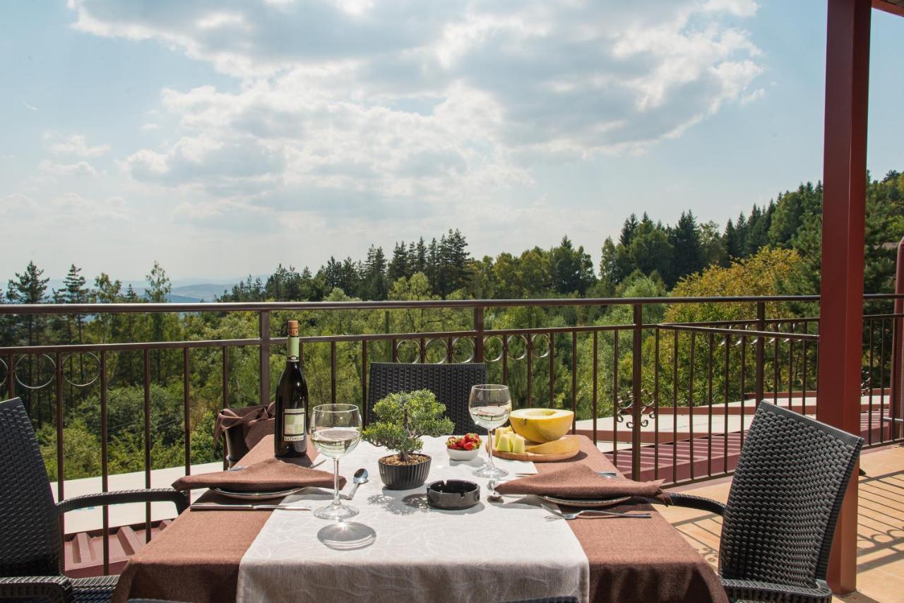 Hotel Villa Magus Kladnitsa Zewnętrze zdjęcie